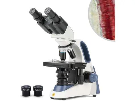 Microscopio Binocular SW380B 40X-2500X, Investigación, Oculares 10X/25X, Preciso.